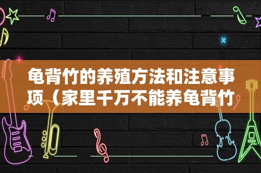 龟背竹的养殖方法和注意事项（家里千万不能养龟背竹）