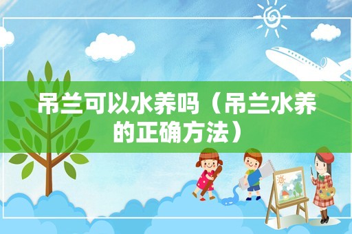 吊兰可以水养吗（吊兰水养的正确方法）