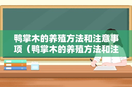 鸭掌木的养殖方法和注意事项（鸭掌木的养殖方法和注意事项有哪些）