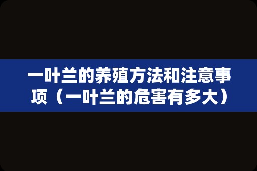 一叶兰的养殖方法和注意事项（一叶兰的危害有多大）