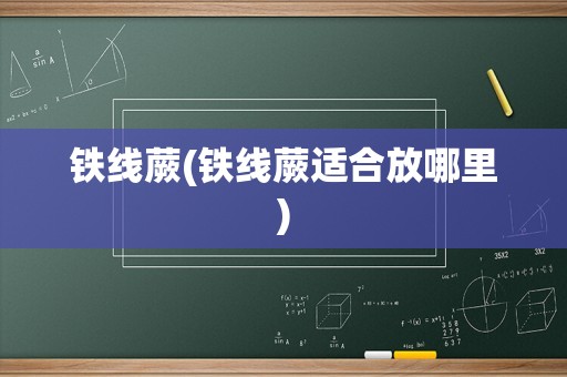 铁线蕨(铁线蕨适合放哪里)