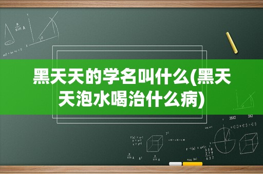 黑天天的学名叫什么(黑天天泡水喝治什么病)