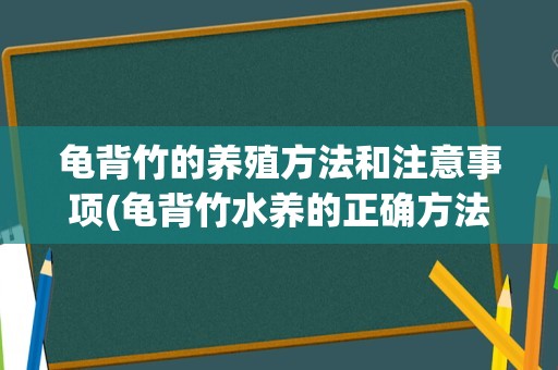 龟背竹的养殖方法和注意事项(龟背竹水养的正确方法)