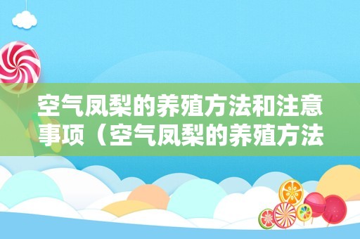 空气凤梨的养殖方法和注意事项（空气凤梨的养殖方法和注意事项红精灵）