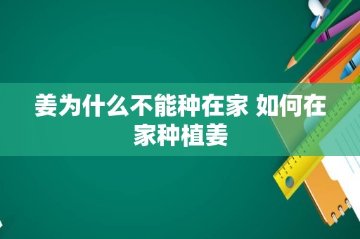 姜为什么不能种在家 如何在家种植姜