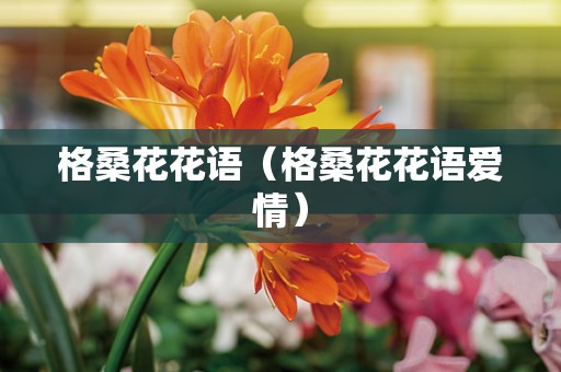 格桑花花语（格桑花花语爱情）