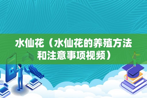 水仙花（水仙花的养殖方法和注意事项视频）