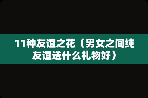 11种友谊之花（男女之间纯友谊送什么礼物好）