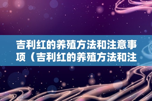 吉利红的养殖方法和注意事项（吉利红的养殖方法和注意事项 新闻）