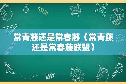 常青藤还是常春藤（常青藤还是常春藤联盟）