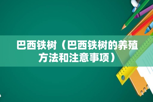 巴西铁树（巴西铁树的养殖方法和注意事项）